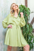 Long Slv Flared Dress