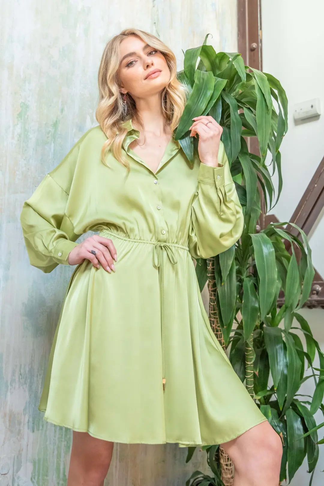 Long Slv Flared Dress