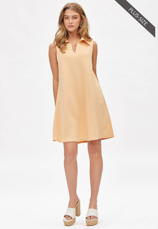 Collared Denise Dress