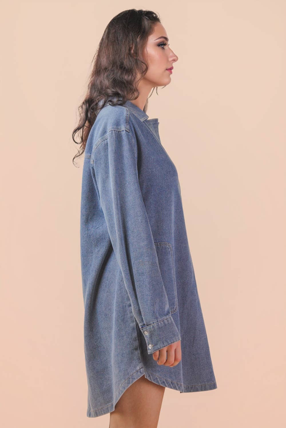 Leah Shirt Dress