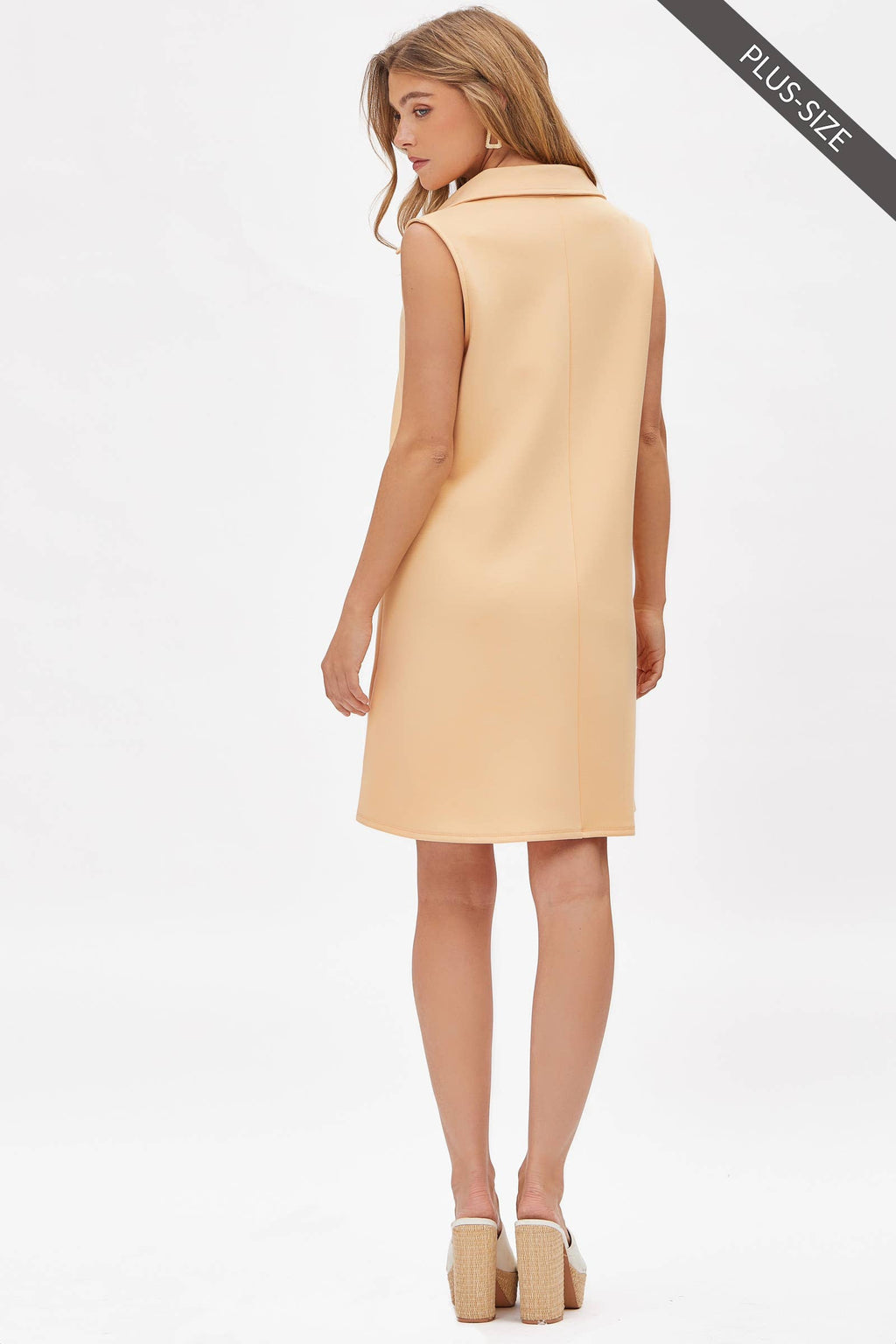 Collared Denise Dress